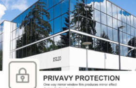 Privacy Window Film